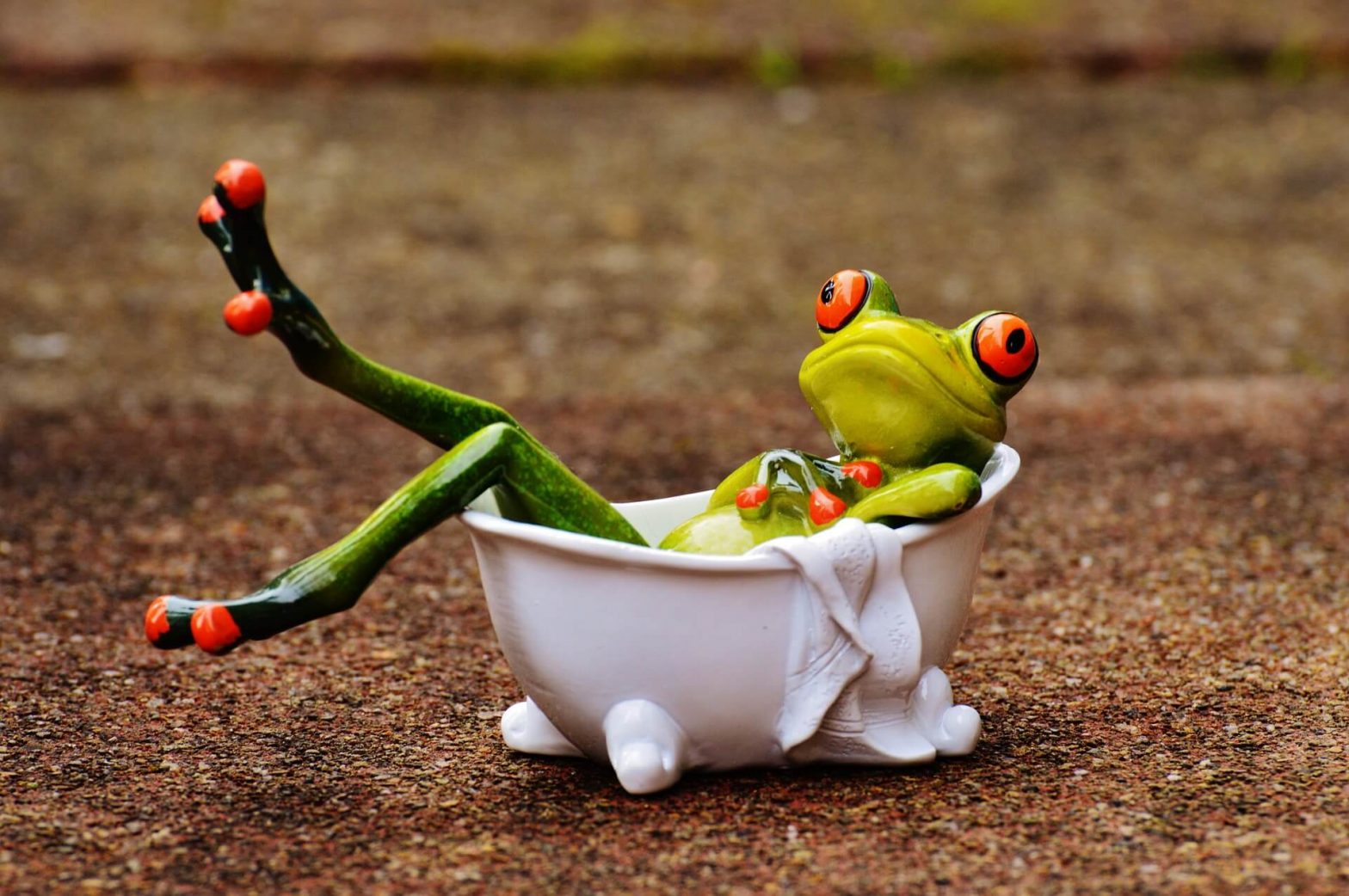 Funny Picture of a frog in a bathtub